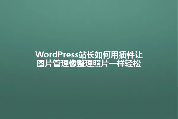 WordPress站长如何用插件让图片管理像整理照片一样轻松 一