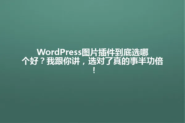 WordPress图片插件到底选哪个好?我跟你讲,选对了真的事半功倍! 一
