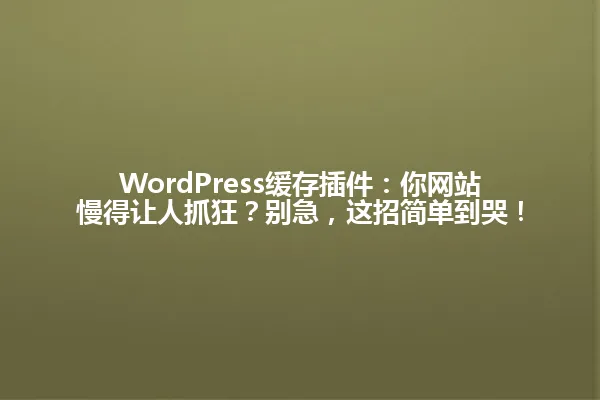 WordPress缓存插件：你网站慢得让人抓狂？别急，这招简单到哭！ 一