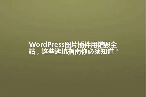 WordPress图片插件用错毁全站,这些避坑指南你必须知道! 一