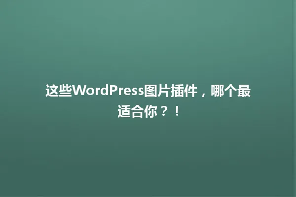 这些WordPress图片插件，哪个最适合你？！ 一
