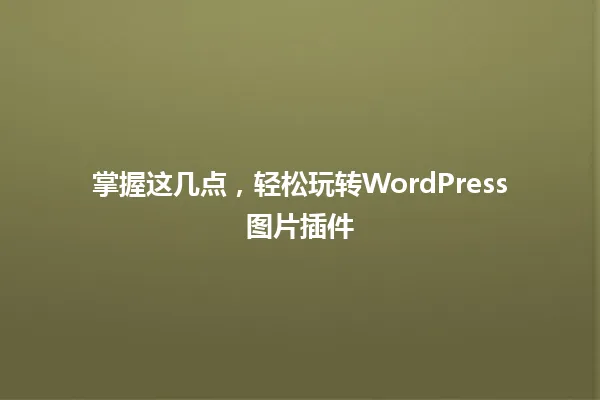 掌握这几点,轻松玩转WordPress图片插件 一