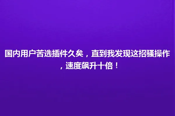 国内用户苦选插件久矣,直到我发现这招骚操作,速度飙升十倍! 一