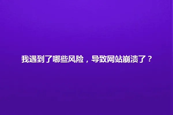 我遇到了哪些风险，导致网站崩溃了？ 一