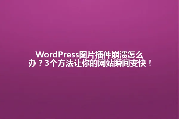 WordPress图片插件崩溃怎么办?3个方法让你的网站瞬间变快! 一