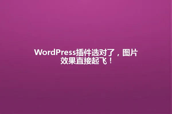 WordPress插件选对了,图片效果直接起飞! 一