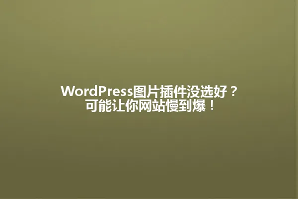 WordPress图片插件没选好?可能让你网站慢到爆! 一