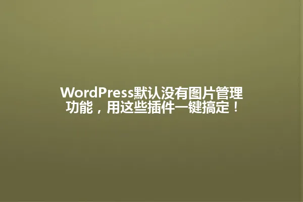 WordPress默认没有图片管理功能,用这些插件一键搞定! 一