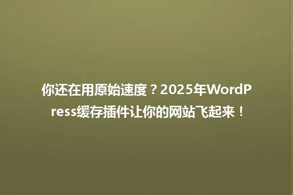 你还在用原始速度?2025年WordPress缓存插件让你的网站飞起来! 一