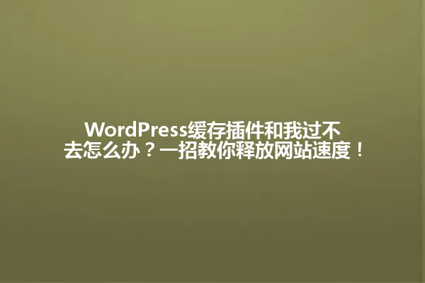 WordPress缓存插件和我过不去怎么办?一招教你释放网站速度! 一