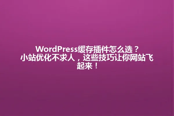 WordPress缓存插件怎么选?小站优化不求人,这些技巧让你网站飞起来! 一