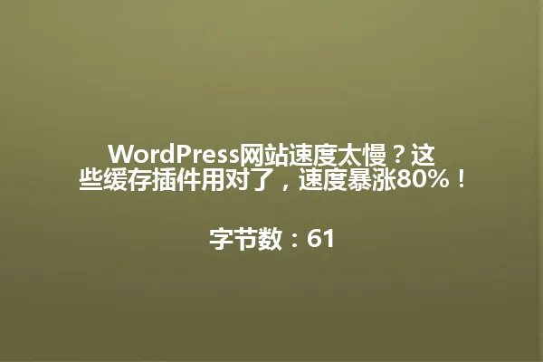 WordPress网站速度太慢?这些缓存插件用对了,速度暴涨80%!
字节数:61 一