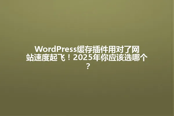 WordPress缓存插件用对了网站速度起飞!2025年你应该选哪个? 一