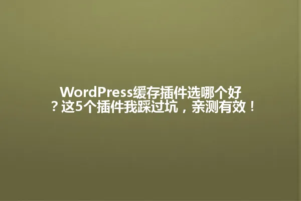 WordPress缓存插件选哪个好？这5个插件我踩过坑，亲测有效！ 一