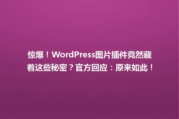 惊爆!WordPress图片插件竟然藏着这些秘密?官方回应:原来如此! 一