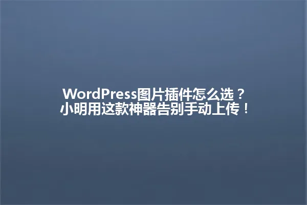 WordPress图片插件怎么选?小明用这款神器告别手动上传! 一