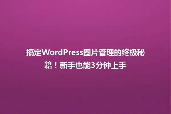 搞定WordPress图片管理的终极秘籍!新手也能3分钟上手 一