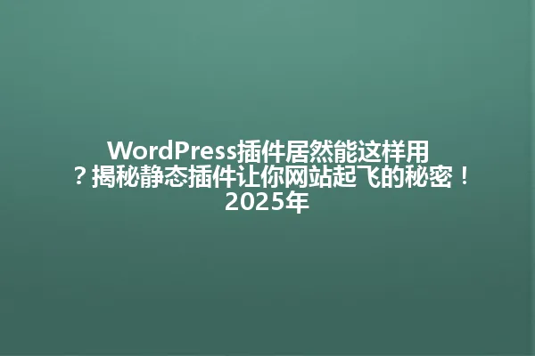 WordPress插件居然能这样用?揭秘静态插件让你网站起飞的秘密!2025年 一