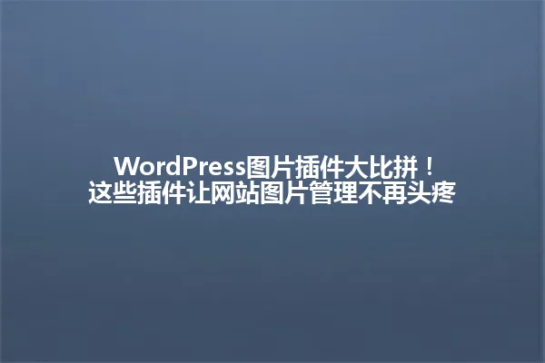 WordPress图片插件大比拼！这些插件让网站图片管理不再头疼 一