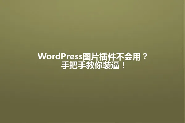 WordPress图片插件不会用?手把手教你装逼! 一