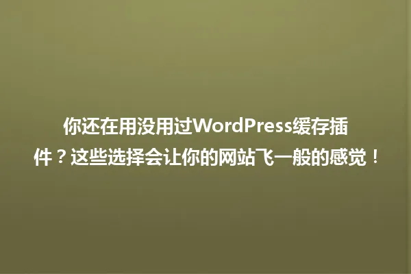 你还在用没用过WordPress缓存插件?这些选择会让你的网站飞一般的感觉! 一