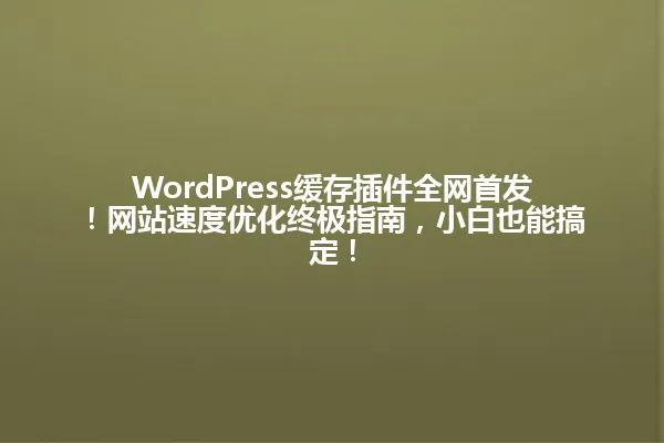 WordPress缓存插件全网首发!网站速度优化终极指南,小白也能搞定! 一
