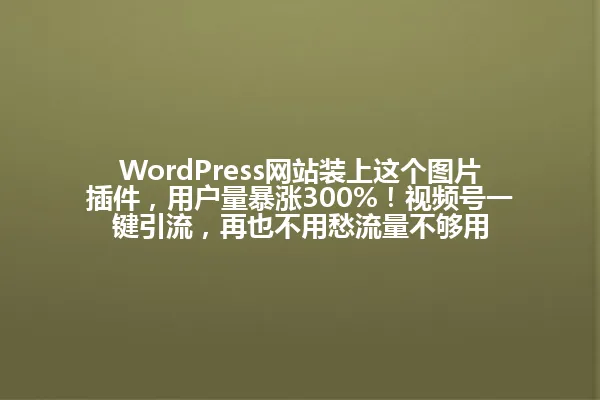 WordPress网站装上这个图片插件,用户量暴涨300%!视频号一键引流,再也不用愁流量不够用 一