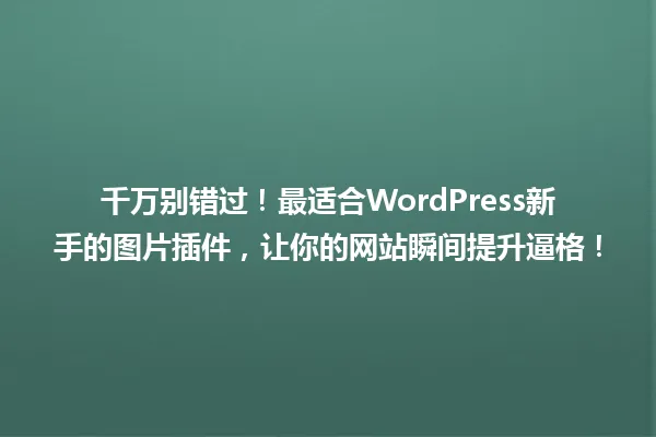 千万别错过！最适合WordPress新手的图片插件，让你的网站瞬间提升逼格！ 一
