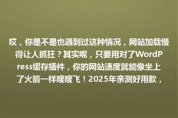 哎,你是不是也遇到过这种情况,网站加载慢得让人抓狂?其实呢,只要用对了WordPress缓存插件,你的网站速度就能像坐上了火箭一样嗖嗖飞!2025年亲测好用款,手把手教你挑对它 一