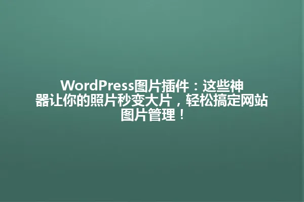 WordPress图片插件:这些神器让你的照片秒变大片,轻松搞定网站图片管理! 一