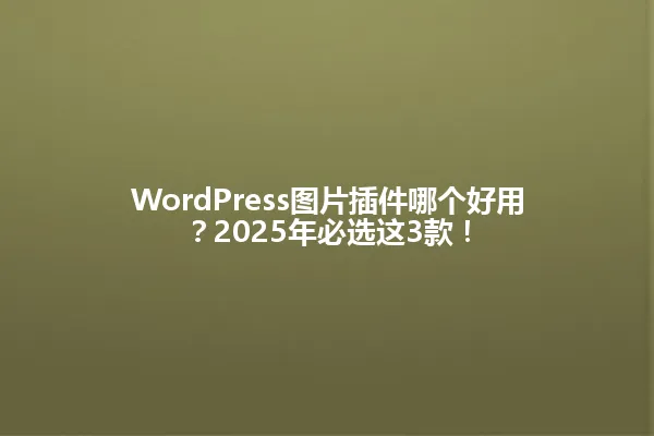 WordPress图片插件哪个好用?2025年必选这3款! 一