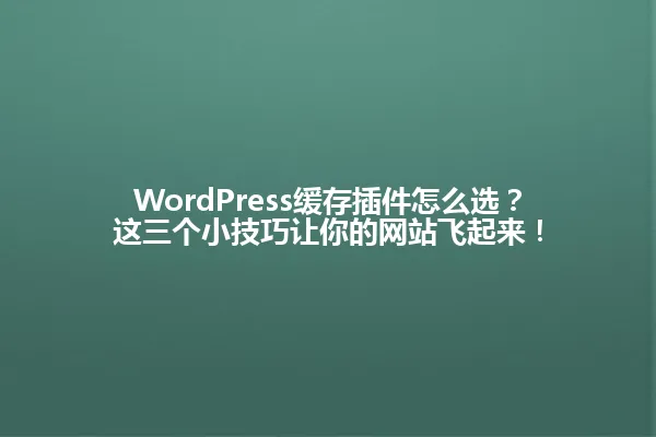 WordPress缓存插件怎么选?这三个小技巧让你的网站飞起来! 一