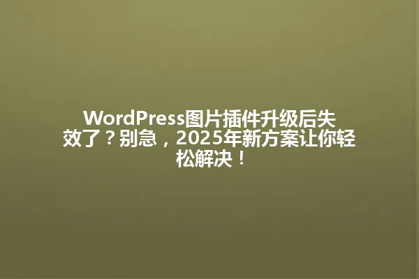 WordPress图片插件升级后失效了？别急，2025年新方案让你轻松解决！ 一