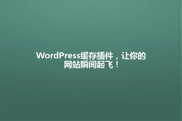 WordPress缓存插件，让你的网站瞬间起飞！ 一