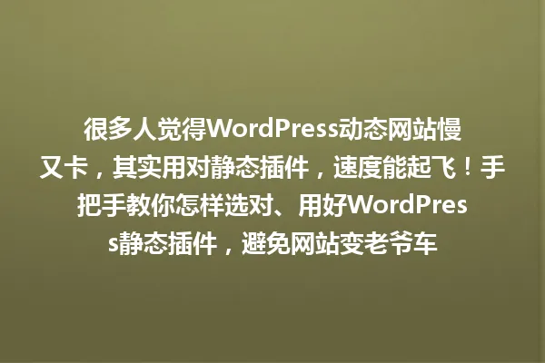很多人觉得WordPress动态网站慢又卡，其实用对静态插件，速度能起飞！手把手教你怎样选对、用好WordPress静态插件，避免网站变老爷车 一