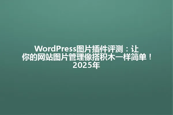 WordPress图片插件评测：让你的网站图片管理像搭积木一样简单！2025年 一