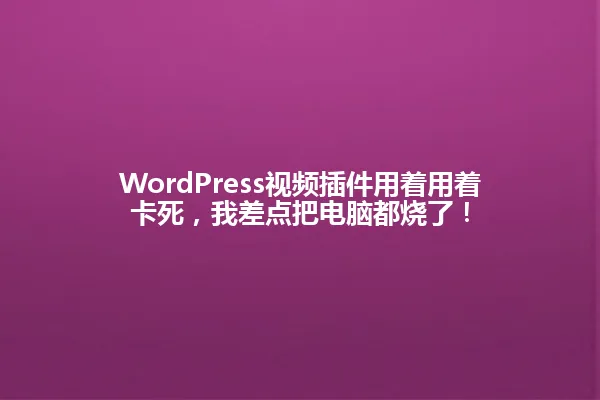 WordPress视频插件用着用着卡死,我差点把电脑都烧了! 一
