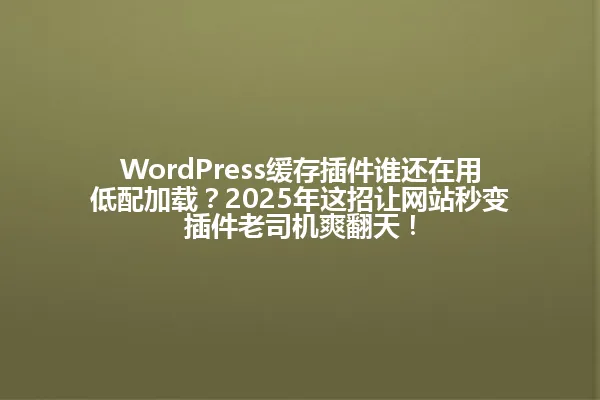 WordPress缓存插件谁还在用低配加载？2025年这招让网站秒变插件老司机爽翻天！ 一