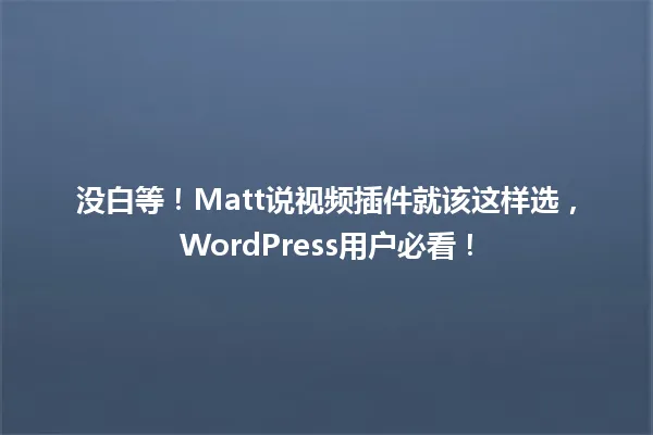 没白等!Matt说视频插件就该这样选,WordPress用户必看! 一