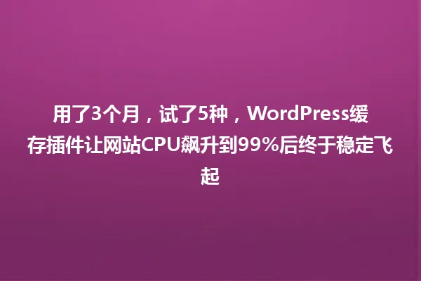 用了3个月,试了5种,WordPress缓存插件让网站CPU飙升到99%后终于稳定飞起 一