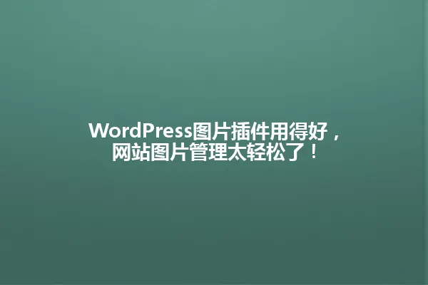 WordPress图片插件用得好，网站图片管理太轻松了！ 一