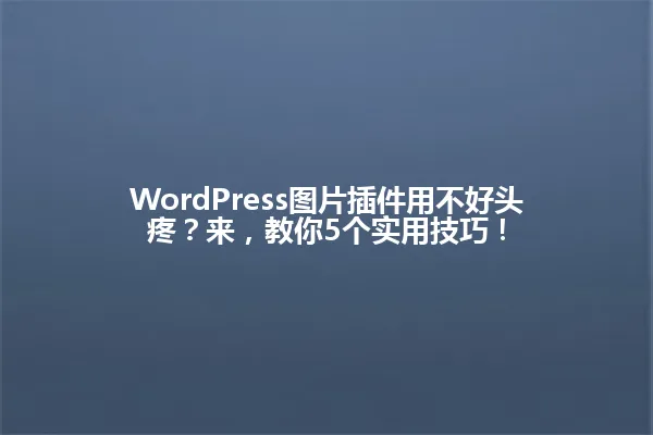 WordPress图片插件用不好头疼？来，教你5个实用技巧！ 一