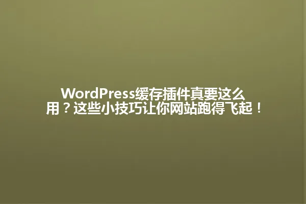 WordPress缓存插件真要这么用？这些小技巧让你网站跑得飞起！ 一