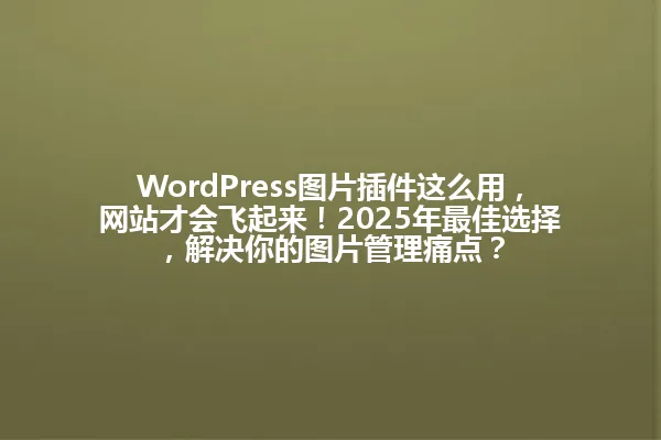 WordPress图片插件这么用,网站才会飞起来!2025年最佳选择,解决你的图片管理痛点? 一