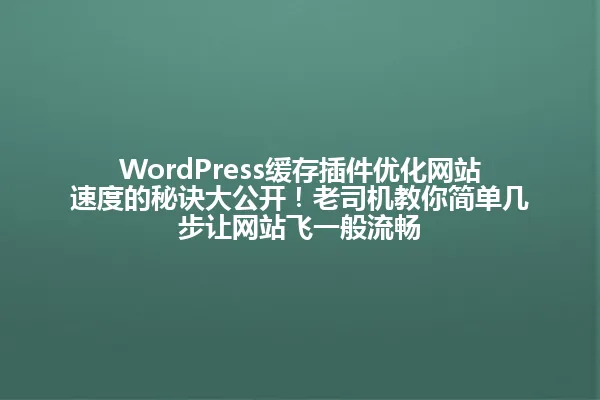 WordPress缓存插件优化网站速度的秘诀大公开!老司机教你简单几步让网站飞一般流畅 一