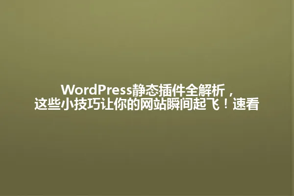 WordPress静态插件全解析,这些小技巧让你的网站瞬间起飞!速看 一