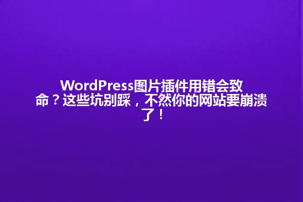 WordPress图片插件用错会致命?这些坑别踩,不然你的网站要崩溃了! 一