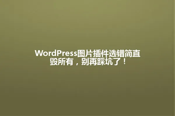 WordPress图片插件选错简直毁所有,别再踩坑了! 一