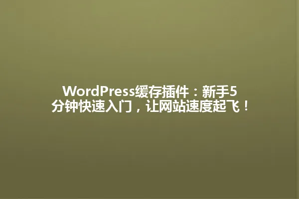 WordPress缓存插件:新手5分钟快速入门,让网站速度起飞! 一