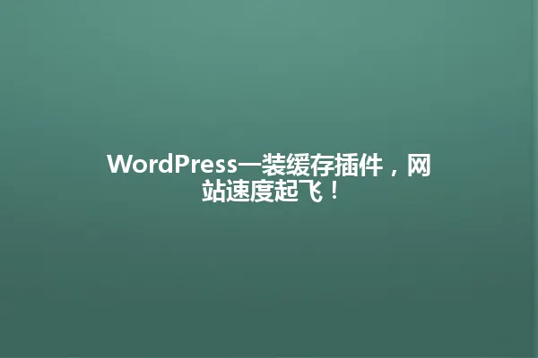 WordPress一装缓存插件,网站速度起飞! 一